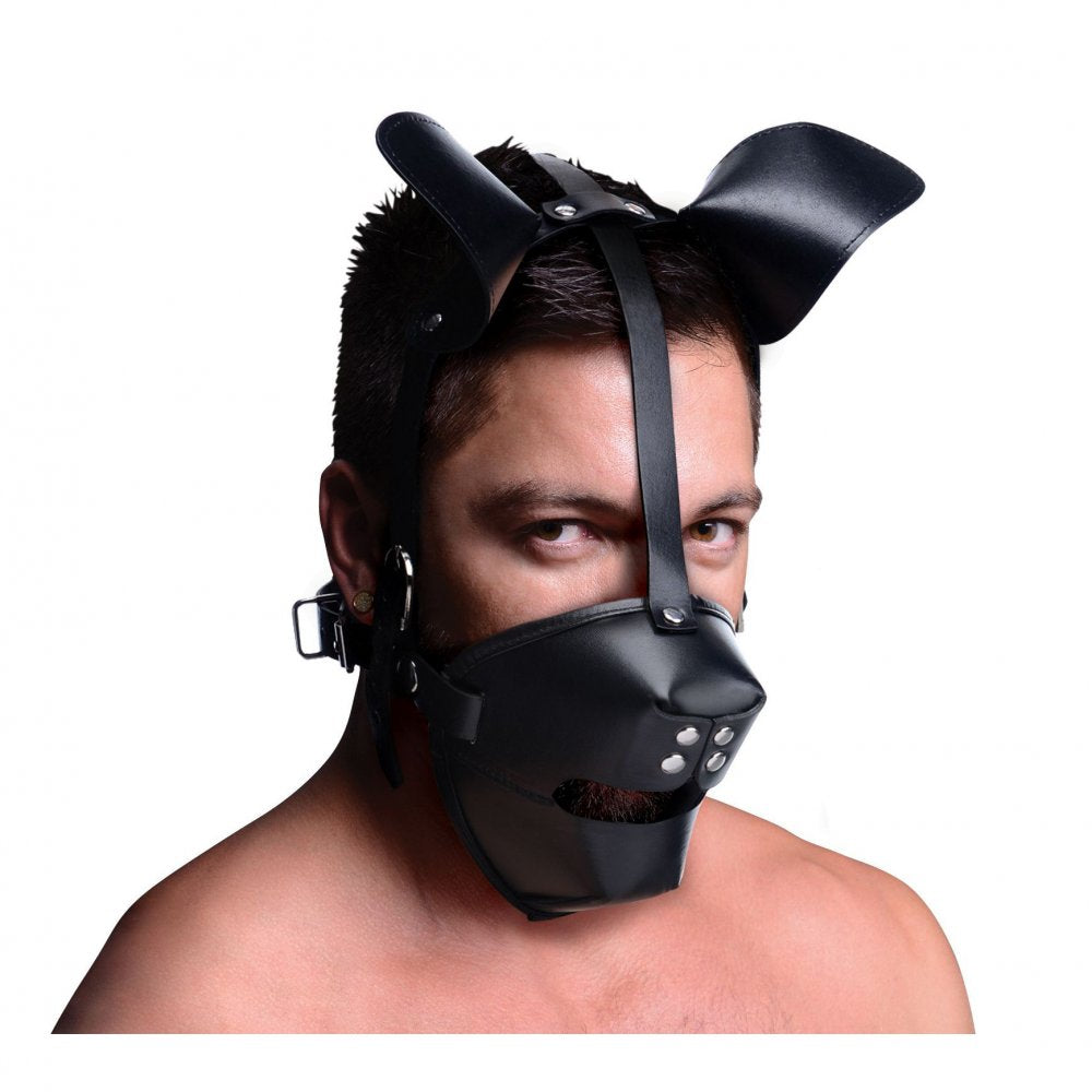 Puppy Play Hood and Breathable Ball Gag